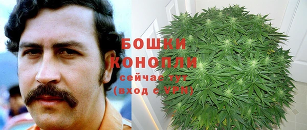 дмт Арсеньев